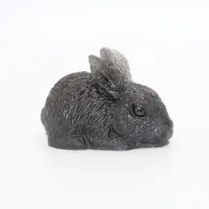 Cute Crouching Bunny