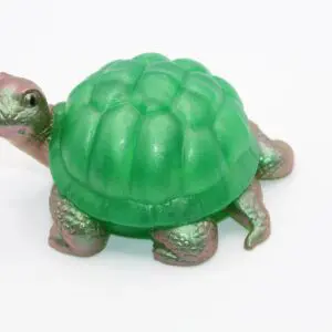 Tortoise
